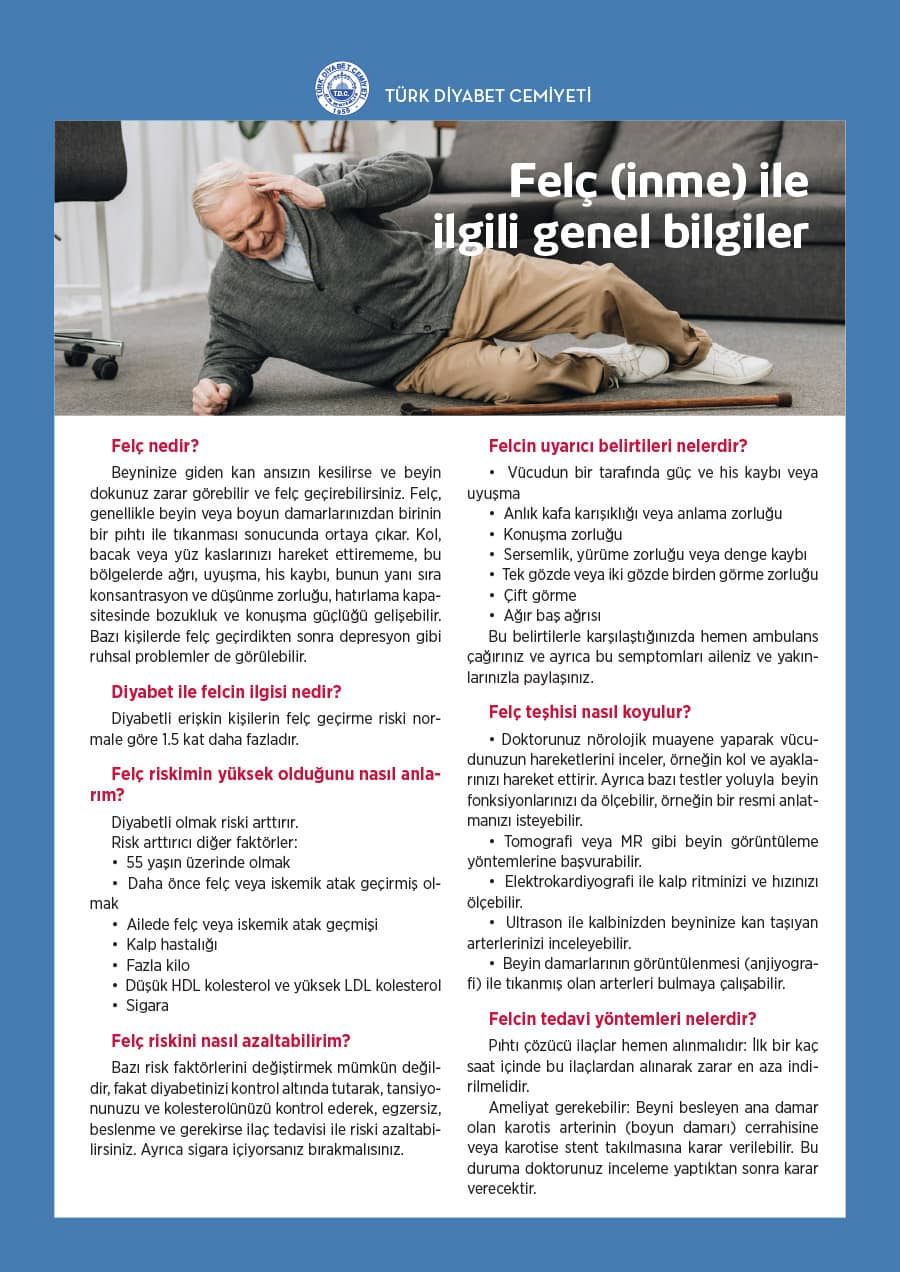 Makaleler